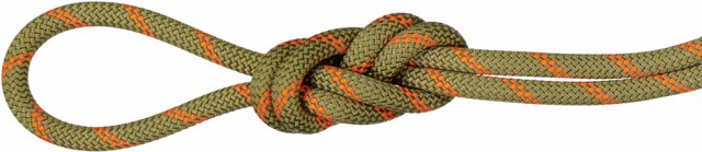 MAMMUT マムート アウトドア 8．0 Alpine Dry Rope 2010−04350 201004350C 11240