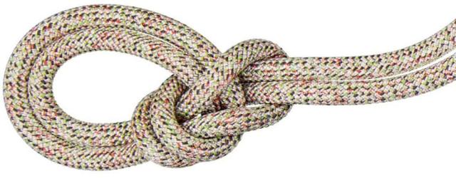 マムート MAMMUT アウトドア 9.5 Crag We Care Classic 60m 2010-04470A  201004470A 0199の通販はその他アウトドア用品