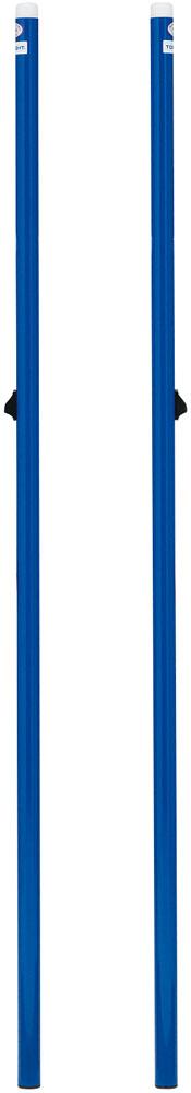 トーエイライト TOEI LIGHT 【メーカー直送品】 バドミントン支柱CC40 検 ブルー バドミントン支柱 バド インディアカ 日本バドミントン協会検定品 インディアカ支柱 体育館 ネット  B6357A