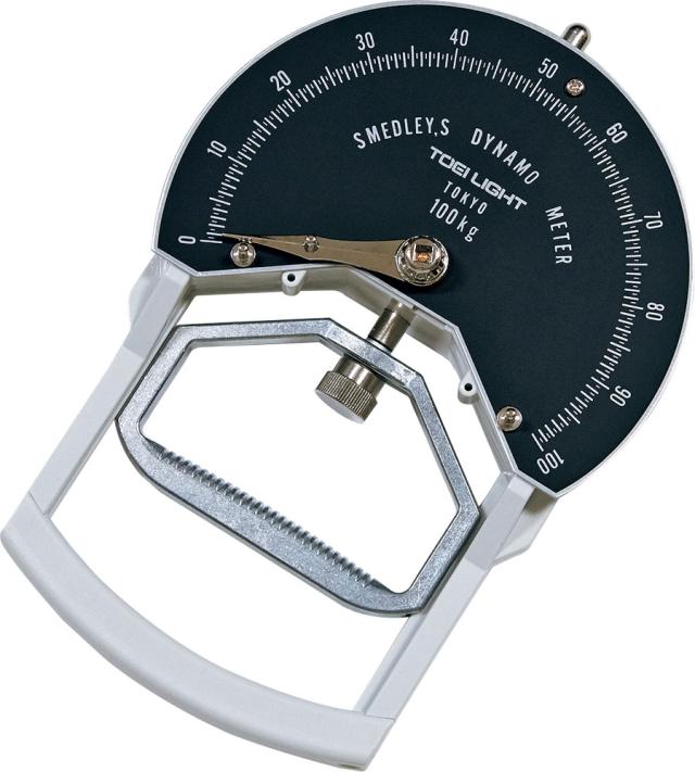 トーエイライト TOEI LIGHT 握力計 ST3 学校 体育 授業 器具 施設 筋力 体力 測定 小学校 中学校 高校 キッズ スクール 介護予防 リハビリ スポーツテスト スメドレー式  T1781