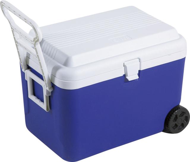 ゼットガッコウタイイク ゼット学校体育 アウトドア 【メーカー直送品】 ホイールクーラー 48L クーラーボックス 保冷 夏 バーベキュー 体育祭 お祭り 海 プール 熱中症対策 飲み物 スポーツ大会 部活  ZR300