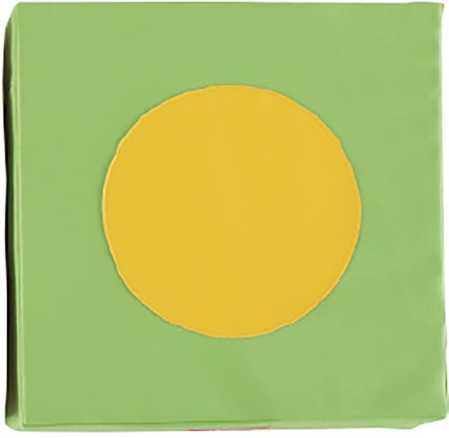 エバニュー Evernew JPクッションKSX500 学校体育 体育 部活 授業 クラブ チーム 体幹 トレーニング バランス ETE184 500