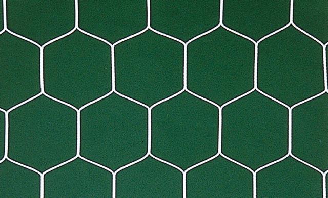 ゼットガッコウタイイク ゼット学校体育 サッカー 亀甲型・野球目サッカーゴールネット  ZKN1655