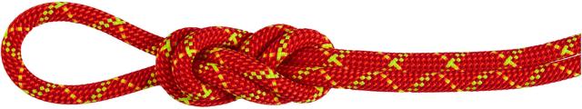 マムート MAMMUT アウトドア 8.0ALPINECOREPROTECTDRYROPE70M ロープ ハイキング トレッキング クライミング 登山 マウンテニアリング 2010-05090 201005090_1