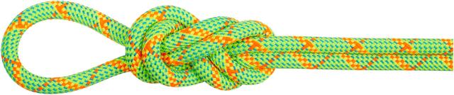 マムート MAMMUT アウトドア 8.0ALPINECOREPROTECTDRYROPE50M ロープ ハイキング トレッキング クライミング 登山 マウンテニアリング 2010-05050 201005050