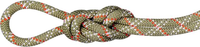 マムート MAMMUT アウトドア 9.5GYMCLASSICROPE50M ロープ シングル ハイキング トレッキング クライミング 登山 オールラウンド ジム クラシック 2010-05830  201005830
