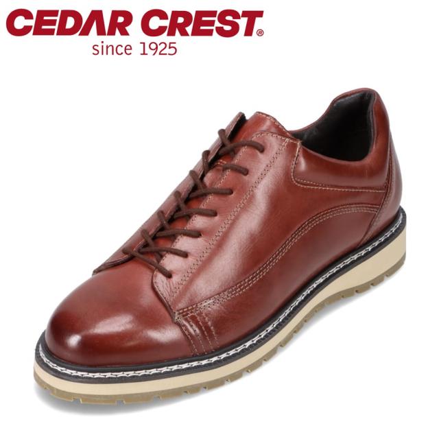 セダークレスト 革靴 CEDAR CREST セダークレスト CC-1555 メンズ