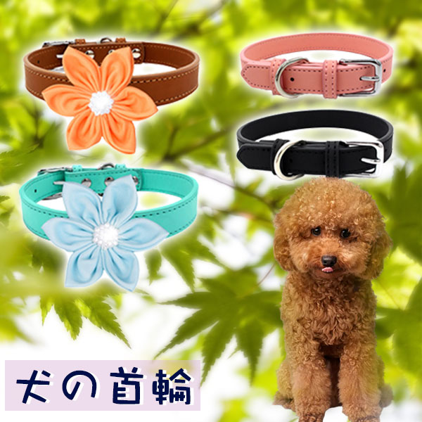 ポイント超超祭利用可 5点セット 犬 首輪 革 犬用首輪 首や喉に優しい シンプル首輪 おしゃれ かわいい カラー ペット キャット PUレザー ペットグッズ 小型犬 中型犬