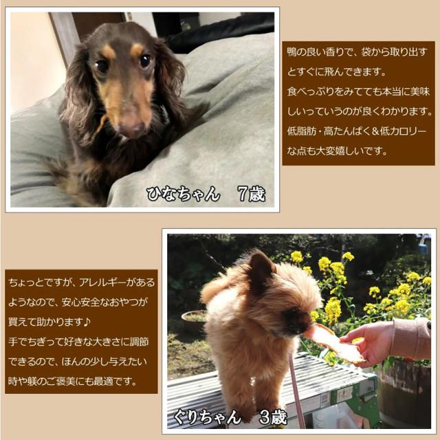 【予約商品5/14出荷予定】犬 おやつ ジャーキー 鴨むね肉ジャーキー 60g 40パック 送料無料 鴨むね肉ハード薄切り 犬用おやつ 鴨ジャーキー 鴨スライス 鴨胸肉 ドッグフード 無添加 無着色 【ITFC】 RTD-rp0002_5