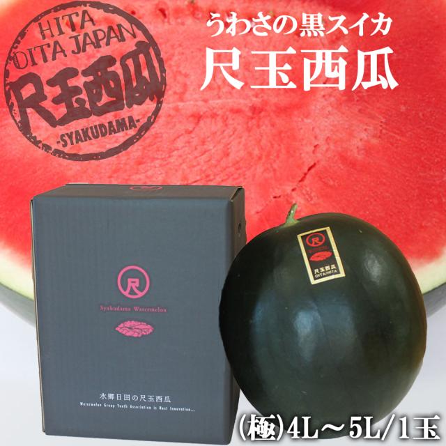 すいか 約3キロ〜 2玉入り 熊本産 西瓜 熊本県産 高級 すいか 西瓜