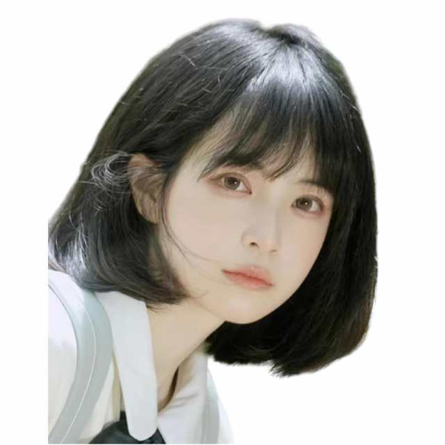 ブラック かわいい姫様 ウィッグ ショート ボブ フルウィッグ レディース おしゃれ かつら ショートヘア 日常 可愛い ストレート 人気 定番 ぱっつん 小顔 女装用 耐熱 軽い 自然 wig ブラックの通販は