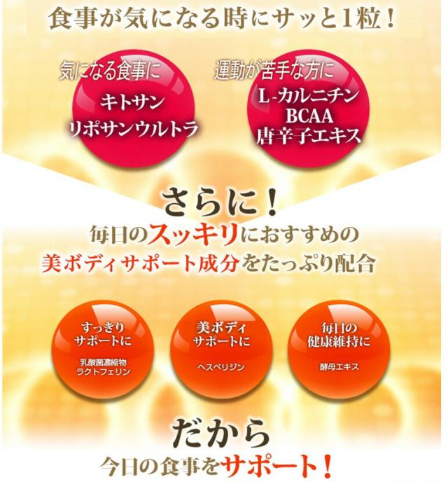 デトスループラス ダイエット サプリ 5個セット 10％OFF 送料無料 燃焼 活性 酵素配合 酵素サプリメント ミッシーリスト_3