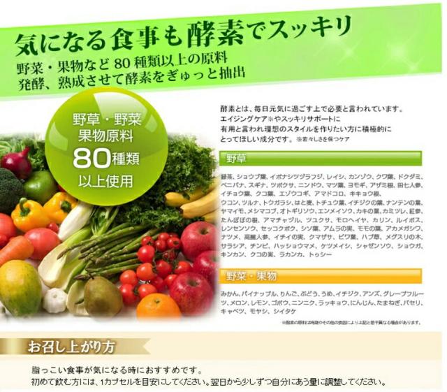 デトスループラス ダイエット サプリ 5個セット 10％OFF 送料無料 燃焼 活性 酵素配合 酵素サプリメント ミッシーリスト_4