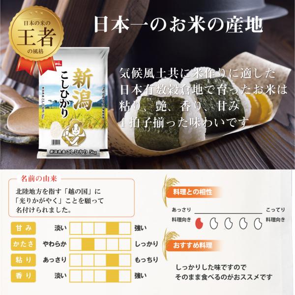 米 30kg コシヒカリ 新潟県産 令和6年産 送料無料 お米 白米 精米 米 30kg コシヒカリ 新潟県産 令和6年産 送料無料 お米 白米 精米