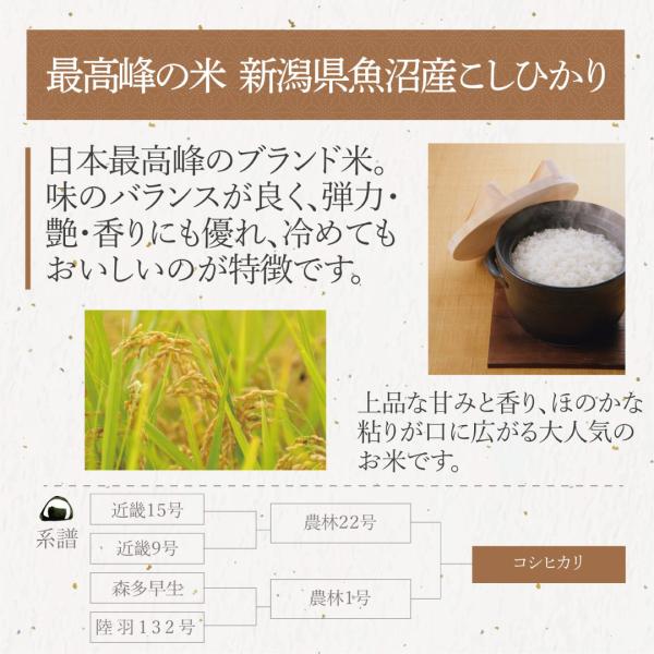 令和7年産 新潟県 魚沼産 コシヒカリ 30kg 無洗米 送料無料 国産米 お米 おくさま印_2