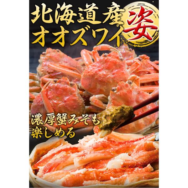 期間限定タイムセール  2.3kg 普通サイズ 北海道産オオズワイガニ姿(ボイル済) ズワイ ずわい ずわいがに ズワイガニ ズワイ蟹 ずわい蟹 全国送料無料_1