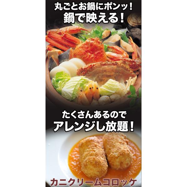 期間限定タイムセール  2.3kg 普通サイズ 北海道産オオズワイガニ姿(ボイル済) ズワイ ずわい ずわいがに ズワイガニ ズワイ蟹 ずわい蟹 全国送料無料_5
