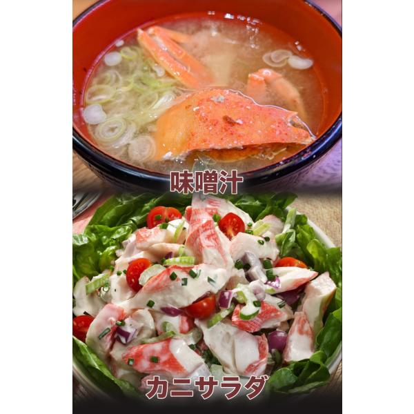 期間限定タイムセール  2.3kg 普通サイズ 北海道産オオズワイガニ姿(ボイル済) ズワイ ずわい ずわいがに ズワイガニ ズワイ蟹 ずわい蟹 全国送料無料_7