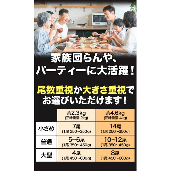 期間限定タイムセール  2.3kg 普通サイズ 北海道産オオズワイガニ姿(ボイル済) ズワイ ずわい ずわいがに ズワイガニ ズワイ蟹 ずわい蟹 全国送料無料_9