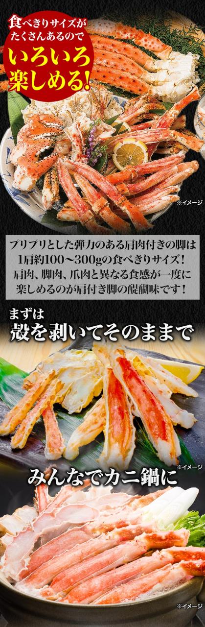 期間限定タイムセール  3.6kg ボイルミナミタラバガニ肩付き脚 ミナミタラバ みなみたらば タラバガニ たらば タラバ タラバ蟹 南たらば ボイルタラバ たらば脚 焼き蟹 全国送料無料_3