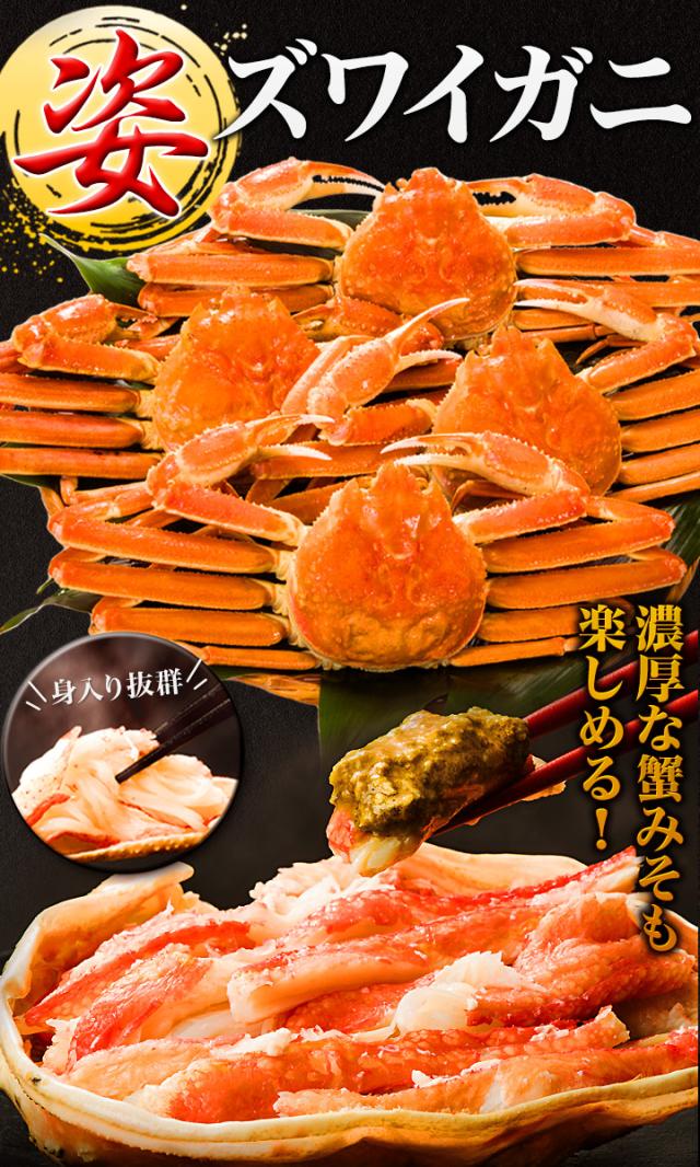 お値引きクーポン配布中 2.4kg 5尾 特選ボイルズワイガニ姿 かに カニ 蟹 ずわい蟹 姿 蟹姿 かにみそ 蟹みそ ボイル 全国送料無料_1