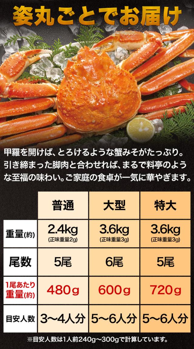 お値引きクーポン配布中 2.4kg 5尾 特選ボイルズワイガニ姿 かに カニ 蟹 ずわい蟹 姿 蟹姿 かにみそ 蟹みそ ボイル 全国送料無料_5