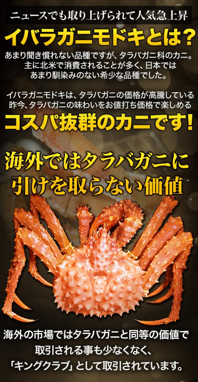 期間限定タイムセール 3kg イバラガニモドキ ゴールデンキングクラブ肩付脚(ボイル済) いばらがに ボイル 蟹 カニ 満足良品館 満足良品館カニ 全国送料無料_2