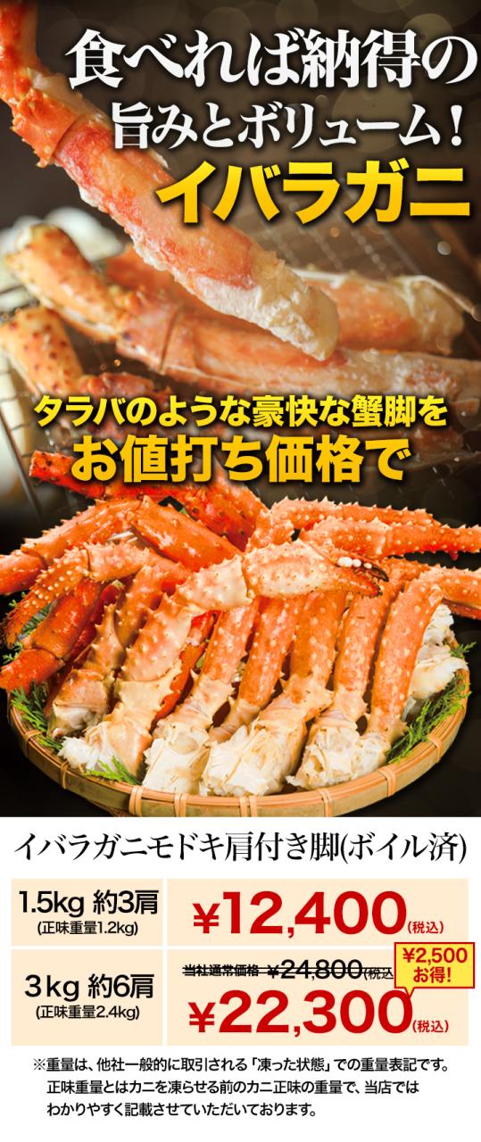 期間限定タイムセール 3kg イバラガニモドキ ゴールデンキングクラブ肩付脚(ボイル済) いばらがに ボイル 蟹 カニ 満足良品館 満足良品館カニ 全国送料無料_10