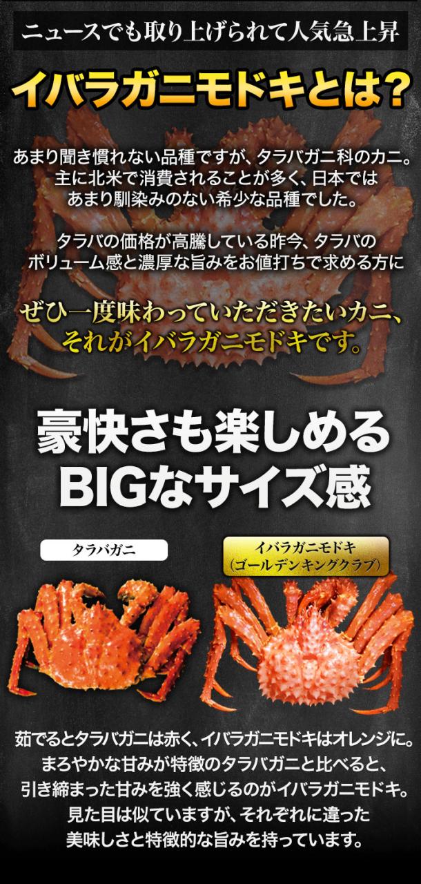 期間限定タイムセール  2kg 生イバラガニモドキお鍋セット 生食不可 イバラガニ いばらがに いばらがにもどき 生イバラ イバラ生 ゴールデンキングクラブ イバラガニポーション タラバガニ  いばらがに鍋 蟹鍋 満足良品館カニ 全国送料無料_2