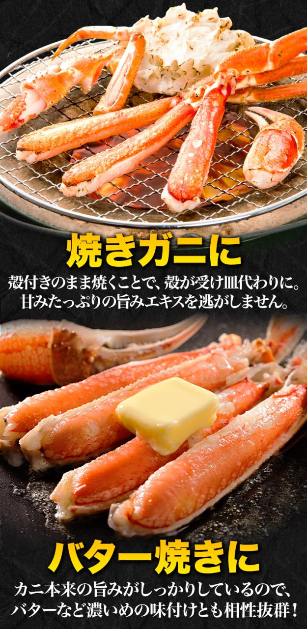 期間限定タイムセール  1.8kg 超特大ズワイガニ肩付き脚（ボイル済み）ずわい蟹 大きいカニ カニバター 天麩羅 炊き込みご飯 カニパーティー 海鮮 グルメ 美味しい 海鮮パーティー バーベキュー BBQ 満足良品館 全国送料無料_6