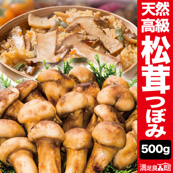 500g 天然松茸(つぼみ) 2袋 まつたけ マツタケ 松茸ご飯 炊き込みご飯 きのこ お吸い物 冷凍 お土産 お祝い プレゼント ギフト おすすめ 満足良品館 送料無料