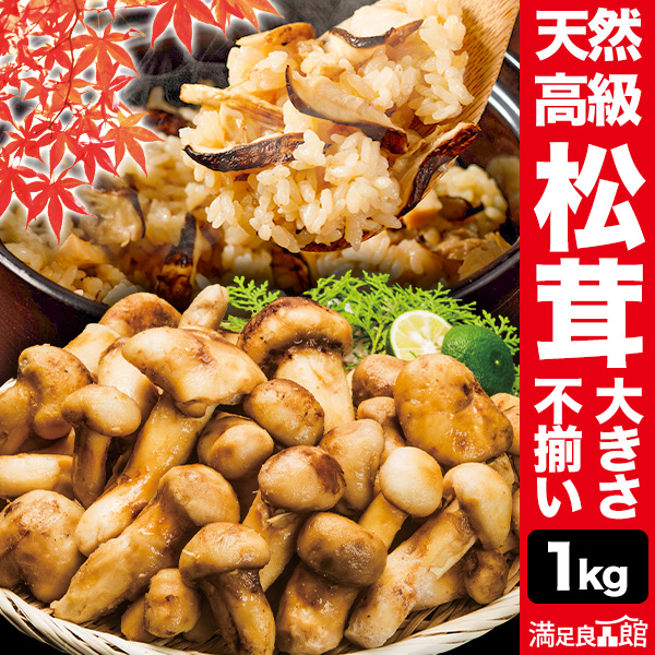 1kg 天然松茸(大きさ不揃い) まつたけ マツタケ 松茸ご飯 炊き込みご飯 きのこ お吸い物 冷凍 お土産 お祝い プレゼント ギフト おすすめ 満足良品館 送料無料