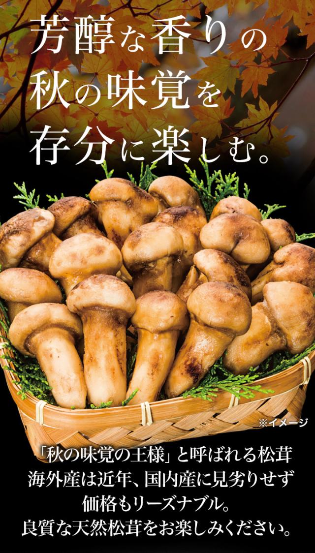 500g 天然松茸(つぼみ) 2袋 まつたけ マツタケ 松茸ご飯 炊き込みご飯 きのこ お吸い物 冷凍 お土産 お祝い プレゼント ギフト おすすめ 満足良品館 送料無料_2