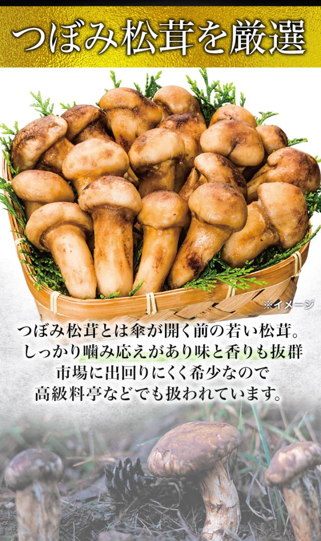 500g 天然松茸(つぼみ) 2袋 まつたけ マツタケ 松茸ご飯 炊き込みご飯 きのこ お吸い物 冷凍 お土産 お祝い プレゼント ギフト おすすめ 満足良品館 送料無料_3