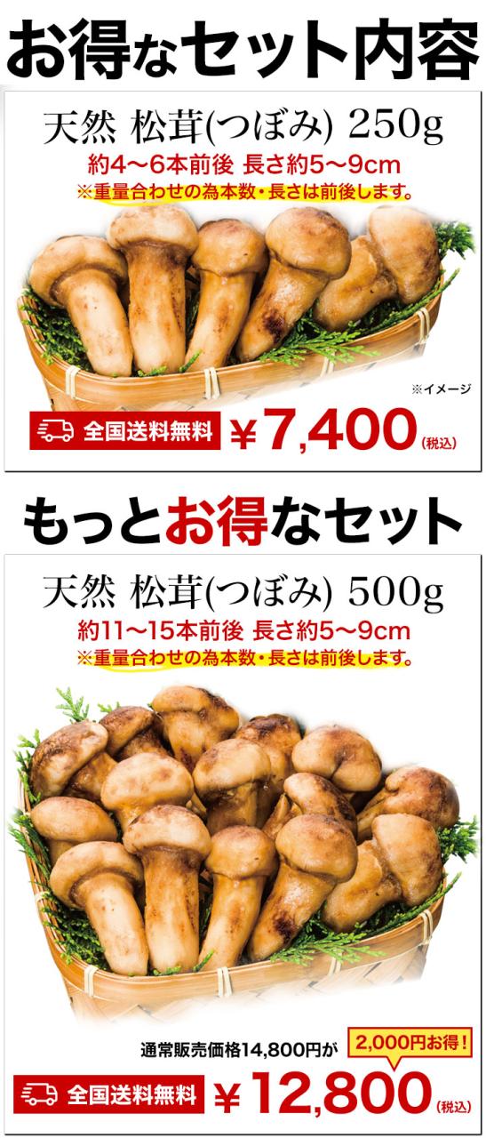 500g 天然松茸(つぼみ) 2袋 まつたけ マツタケ 松茸ご飯 炊き込みご飯 きのこ お吸い物 冷凍 お土産 お祝い プレゼント ギフト おすすめ 満足良品館 送料無料_7
