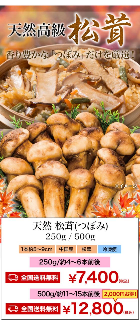 500g 天然松茸(つぼみ) 2袋 まつたけ マツタケ 松茸ご飯 炊き込みご飯 きのこ お吸い物 冷凍 お土産 お祝い プレゼント ギフト おすすめ 満足良品館 送料無料_8