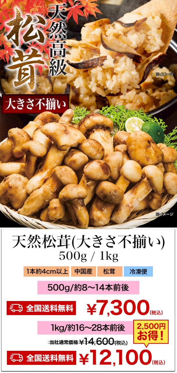 1kg 天然松茸(大きさ不揃い) まつたけ マツタケ 松茸ご飯 炊き込みご飯 きのこ お吸い物 冷凍 お土産 お祝い プレゼント ギフト おすすめ 満足良品館 送料無料_1