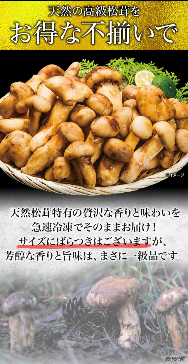 1kg 天然松茸(大きさ不揃い) まつたけ マツタケ 松茸ご飯 炊き込みご飯 きのこ お吸い物 冷凍 お土産 お祝い プレゼント ギフト おすすめ 満足良品館 送料無料_3