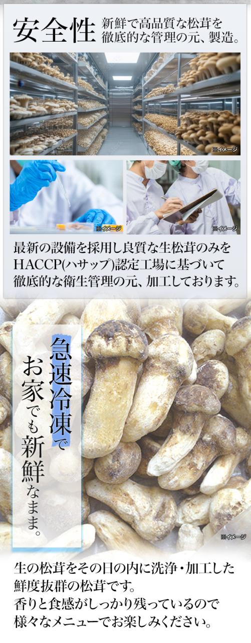 1kg 天然松茸(大きさ不揃い) まつたけ マツタケ 松茸ご飯 炊き込みご飯 きのこ お吸い物 冷凍 お土産 お祝い プレゼント ギフト おすすめ 満足良品館 送料無料_4