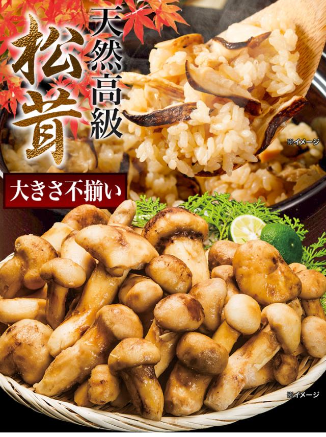1kg 天然松茸(大きさ不揃い) まつたけ マツタケ 松茸ご飯 炊き込みご飯 きのこ お吸い物 冷凍 お土産 お祝い プレゼント ギフト おすすめ 満足良品館 送料無料_6