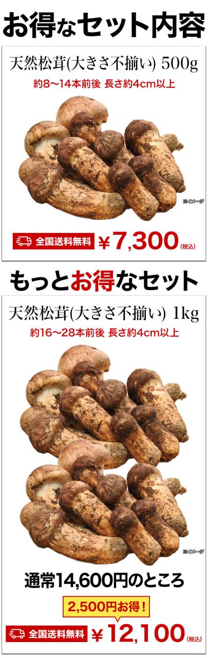 1kg 天然松茸(大きさ不揃い) まつたけ マツタケ 松茸ご飯 炊き込みご飯 きのこ お吸い物 冷凍 お土産 お祝い プレゼント ギフト おすすめ 満足良品館 送料無料_7