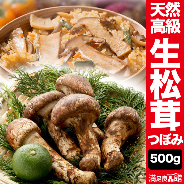 松茸 北海道 500g 送料込 ③ 北海道 松茸 500g ①