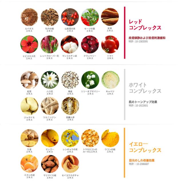 DEBEAUS ディビュース バイオインナー RX SRG BT クッションフェイスリフト 韓国コスメ 本体15g＋レフィル付き パフ2つ入り 正規品_8