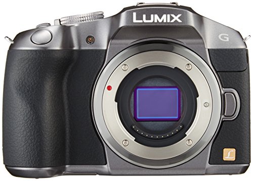 完動品】Nikon F6 (レンズ、スピードライトつき)