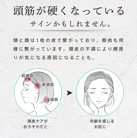 【20%超還元セレクト】美顔器 ブラシ EMS 目元 頭皮ケア ラジオ波 全身マッサージ 電気針ヘッドスパ 振動美容家電 フェイスケア 美肌 赤色/青色LED 磁石式 日本語説明書_2