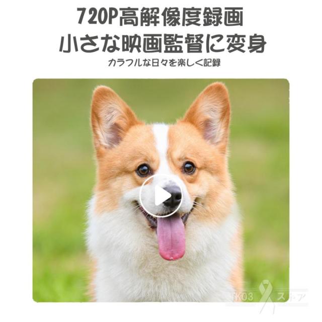 ウェルシュコーギー　額付プリント　アメリカン　シリアルナンバー付き ウェルシュコーギー 額付プリント アメリカン シリアルナンバー付き