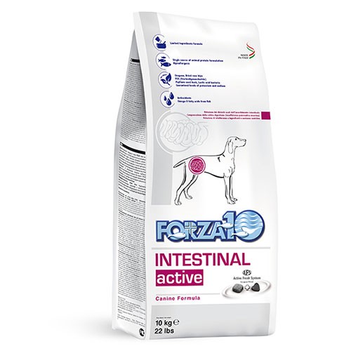 FORZA10(フォルツァ) インテシティナルアクティブ(胃腸) (小粒) 【10kg】の通販は