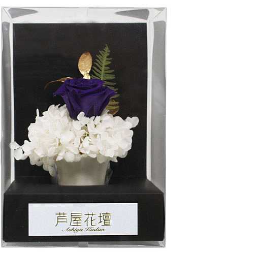 A&K ローズゴールドパープル AKM-036 (倉庫AN)の通販は