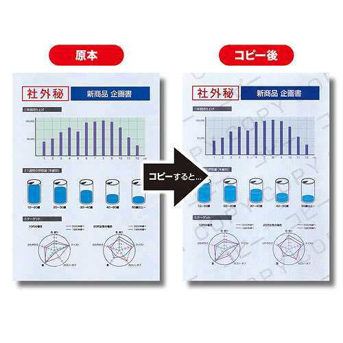 【5個セット】 サンワサプライ マルチタイプコピー偽造防止用紙(B4) 100枚 JP-MTCBB4NX5 (倉庫AN)