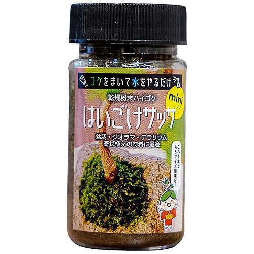 【5個セット】 ビックアロー 乾燥粉末ハイゴケ はいごけサッサmini bigarrow-haigokeminiX5 (倉庫AN)の通販は 5,723円